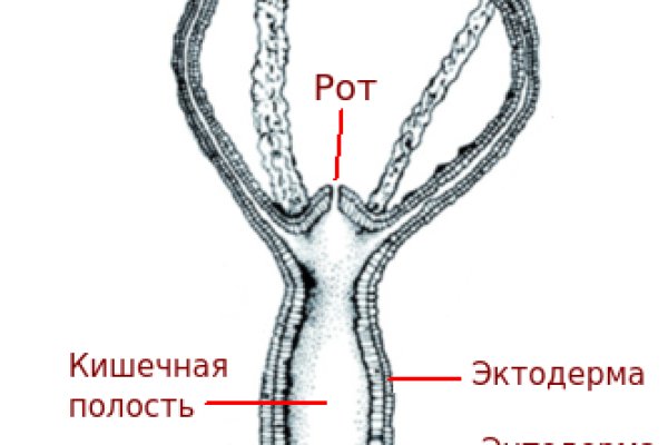 Рабочее зеркало кракен